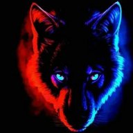 Tigr_Sotka